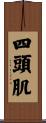 四頭肌 Scroll