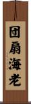 団扇海老 Scroll
