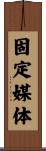 固定媒体 Scroll