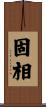 固相 Scroll