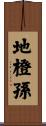 地橙孫 Scroll