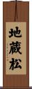 地蔵松 Scroll