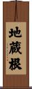 地蔵根 Scroll