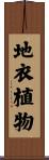 地衣植物 Scroll