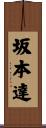 坂本達 Scroll