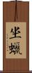 坐蠟 Scroll