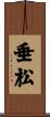 垂松 Scroll