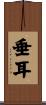 垂耳 Scroll