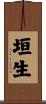 垣生 Scroll