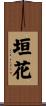 垣花 Scroll