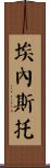 Ernesto Scroll
