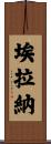 Elana Scroll