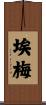 Ayme Scroll