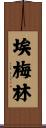 Emelyn Scroll
