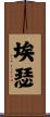 Esser Scroll