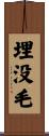 埋没毛 Scroll