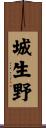 城生野 Scroll
