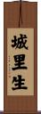 城里生 Scroll