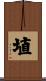 埴 Scroll
