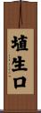 埴生口 Scroll