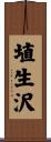 埴生沢 Scroll