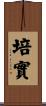 培實 Scroll