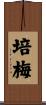 培梅 Scroll