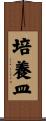 培養皿 Scroll