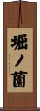 堀ノ薗 Scroll