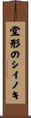 堂形のシイノキ Scroll