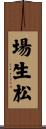 場生松 Scroll
