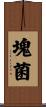 塊菌 Scroll
