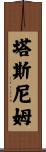 Tasneem Scroll