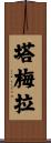 Tamera Scroll
