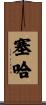 Ceja Scroll