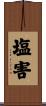 塩害 Scroll