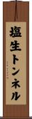塩生トンネル Scroll