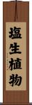 塩生植物 Scroll