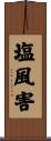 塩風害 Scroll