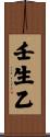 壬生乙 Scroll