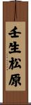 壬生松原 Scroll