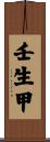 壬生甲 Scroll