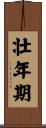 壮年期 Scroll