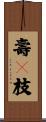 壽々枝 Scroll