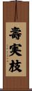 壽実枝 Scroll