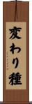変わり種 Scroll
