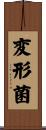 変形菌 Scroll