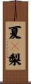夏々梨 Scroll