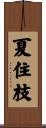 夏住枝 Scroll