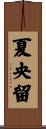 夏央留 Scroll